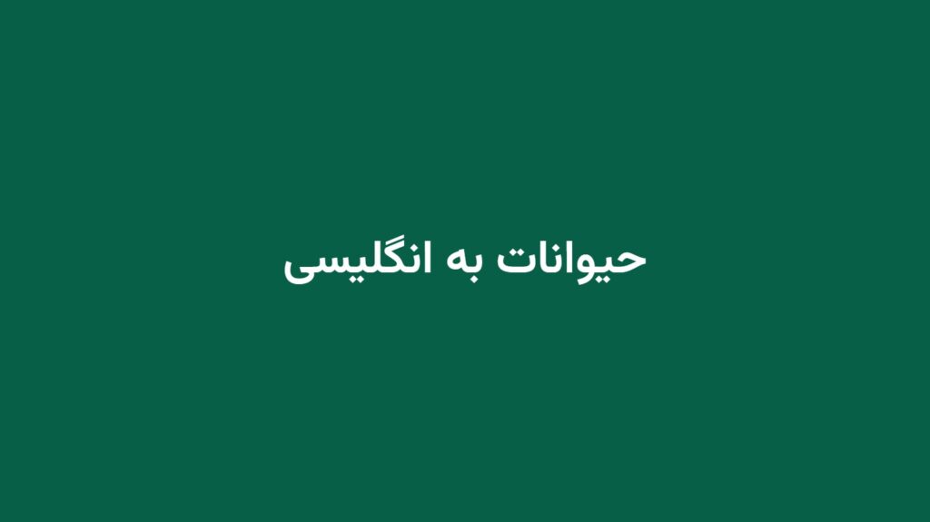حیوانات به انگلیسی