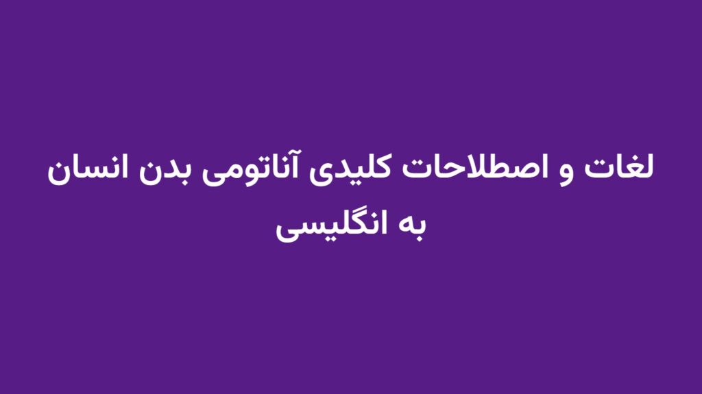 لغات و اصطلاحات کلیدی آناتومی بدن انسان به انگلیسی