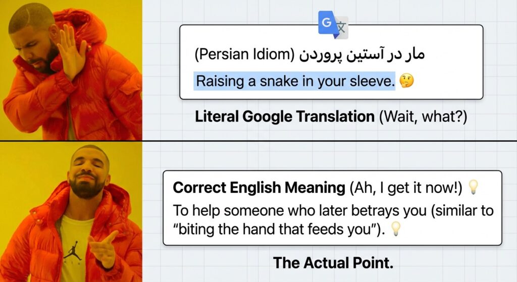 A funny meme comparing a Persian idiom, its literal Google Translation, and the correct English meaning. Maybe using the "Drake Hotline Bling" format.