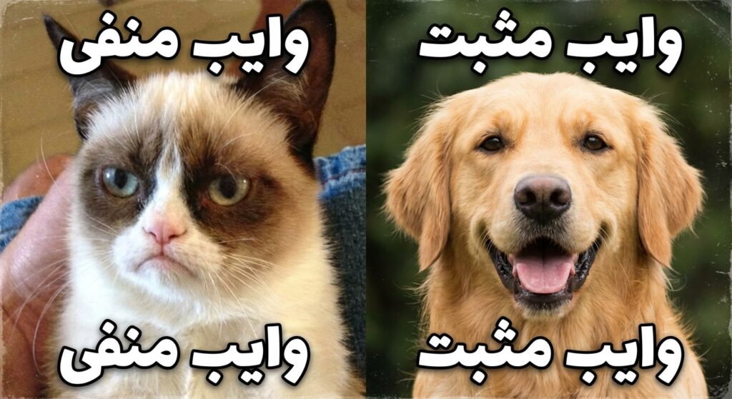 یک میم (Meme) معروف. تصویر گربه‌ی اخمو (Grumpy Cat) با متن "وایب منفی" در کنار تصویر یک سگ گلدن ریتریور خندان با متن "وایب مثبت".