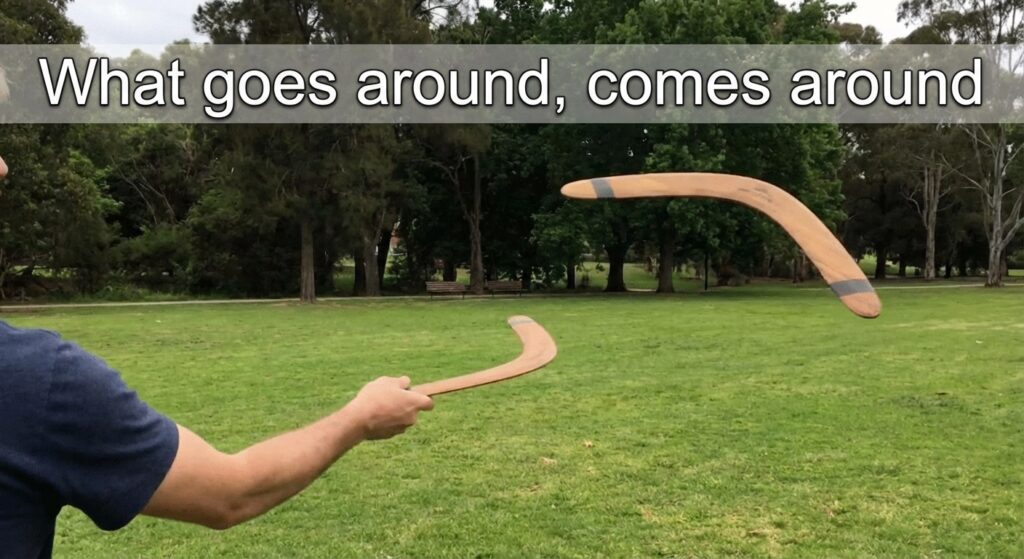 A GIF of a boomerang returning to the sender, with the text "What goes around, comes around" superimposed.