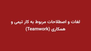لغات و اصطلاحات مربوط به کار تیمی و همکاری (Teamwork)