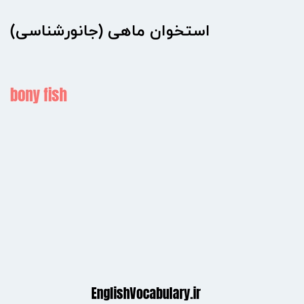 معنی و ترجمه "استخوان ماهی (جانورشناسی)" به انگلیسی