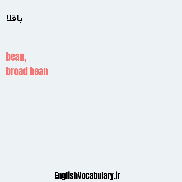 باقلا به انگلیسی