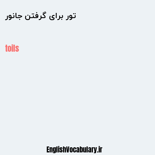 تور برای گرفتن جانور به انگلیسی
