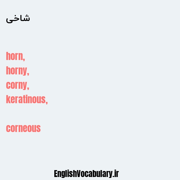 شاخی به انگلیسی