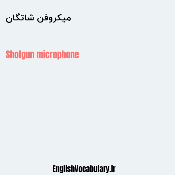 میکروفن شاتگان به انگلیسی