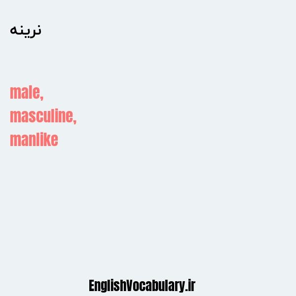 نرینه به انگلیسی