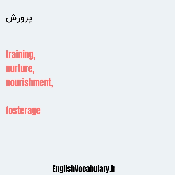 پرورش به انگلیسی