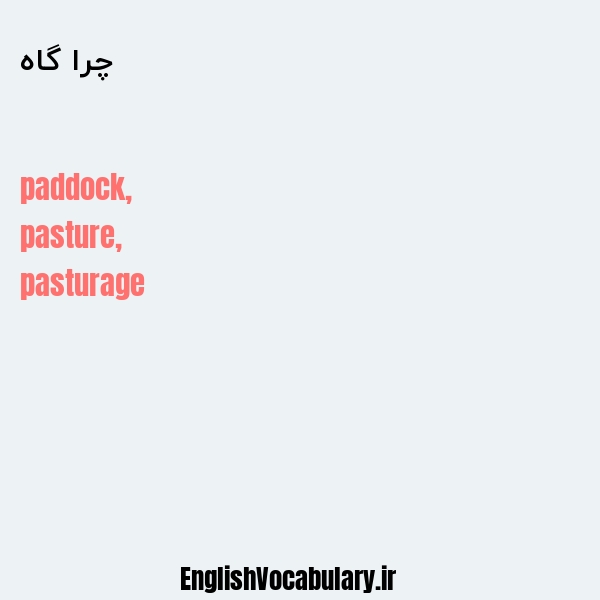 چرا گاه به انگلیسی
