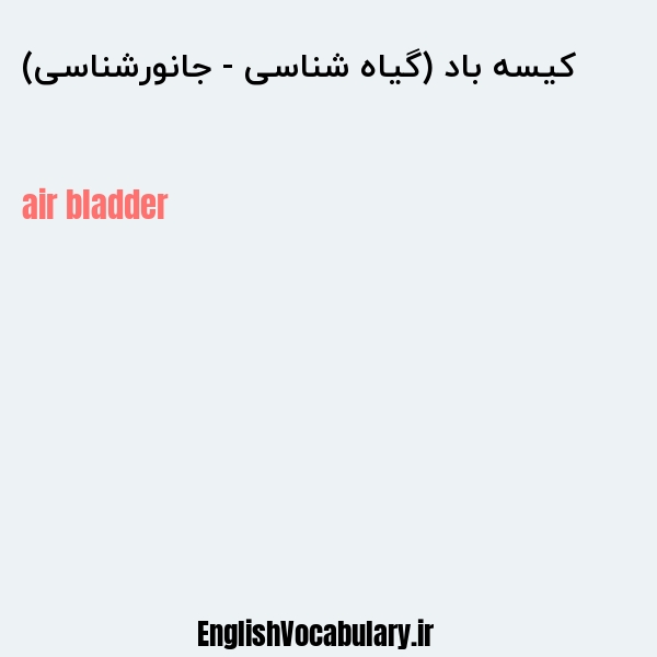 کیسه باد (گیاه شناسی - جانورشناسی) به انگلیسی