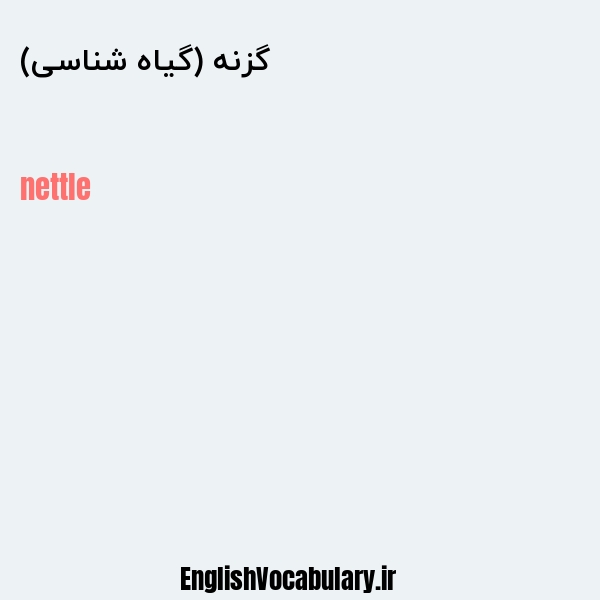 گزنه (گیاه شناسی) به انگلیسی