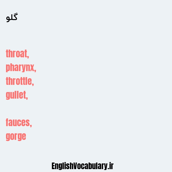 گلو به انگلیسی