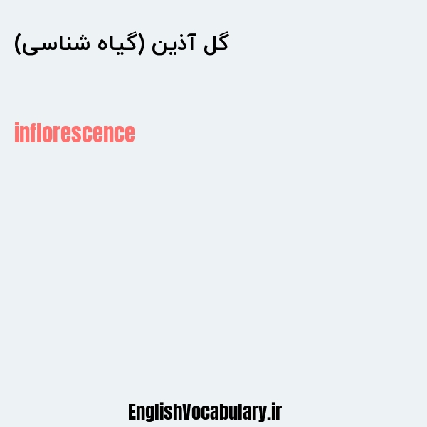 گل آذین (گیاه شناسی) به انگلیسی