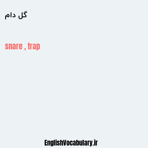 گل دام به انگلیسی