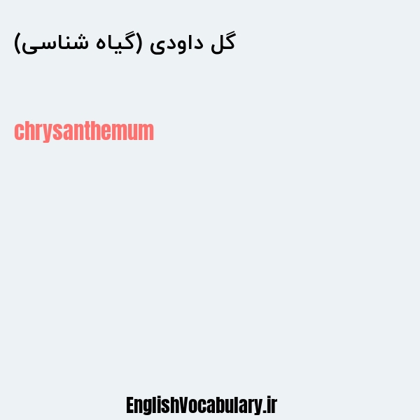 گل داودی (گیاه شناسی) به انگلیسی