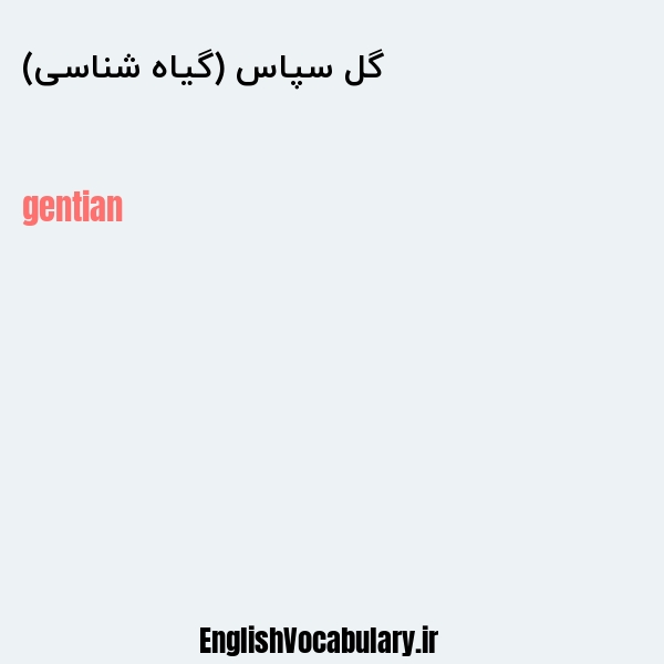 گل سپاس (گیاه شناسی) به انگلیسی