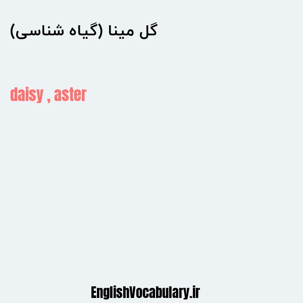 گل مینا (گیاه شناسی) به انگلیسی