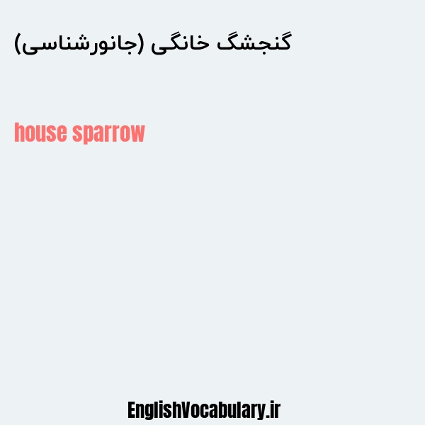 گنجشگ خانگی (جانورشناسی) به انگلیسی