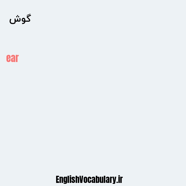 گوش به انگلیسی