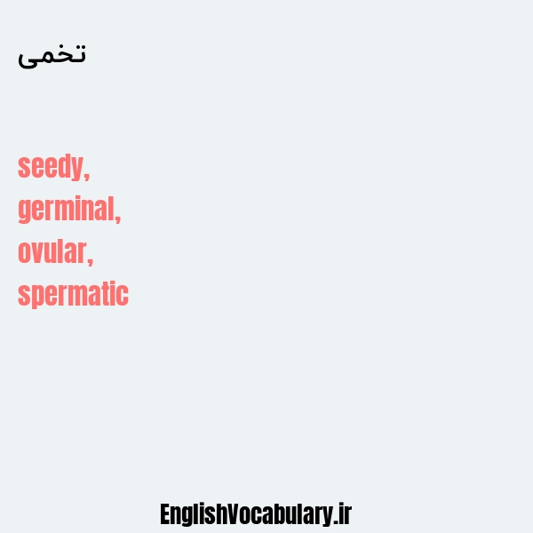 تخمی به انگلیسی