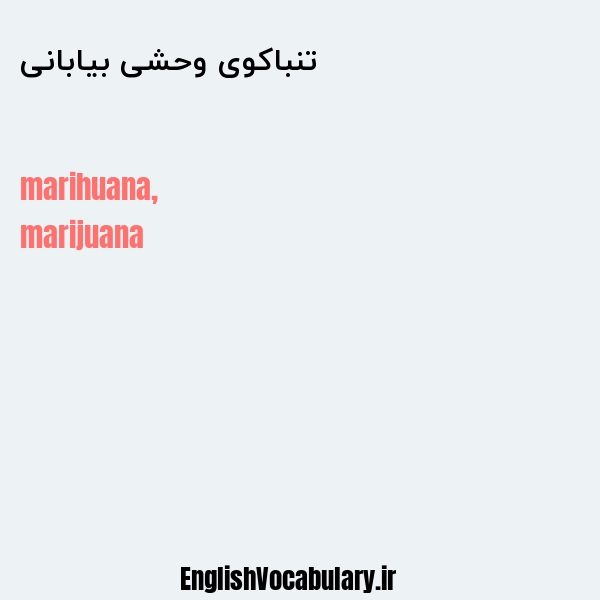 تنباکوی وحشی بیابانی به انگلیسی