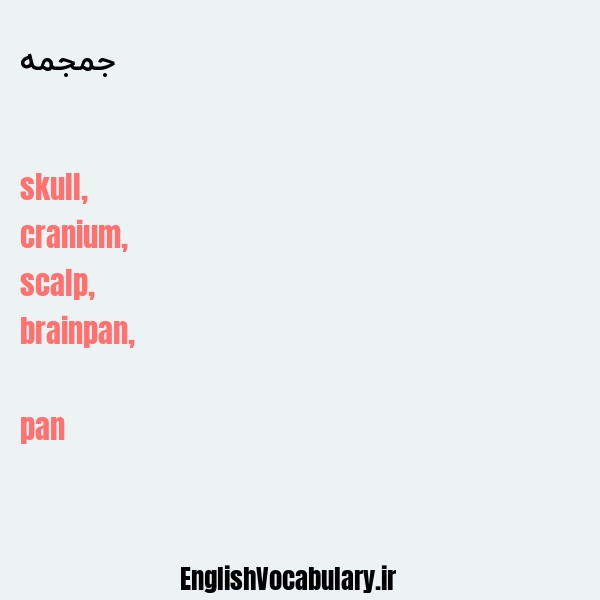 جمجمه به انگلیسی