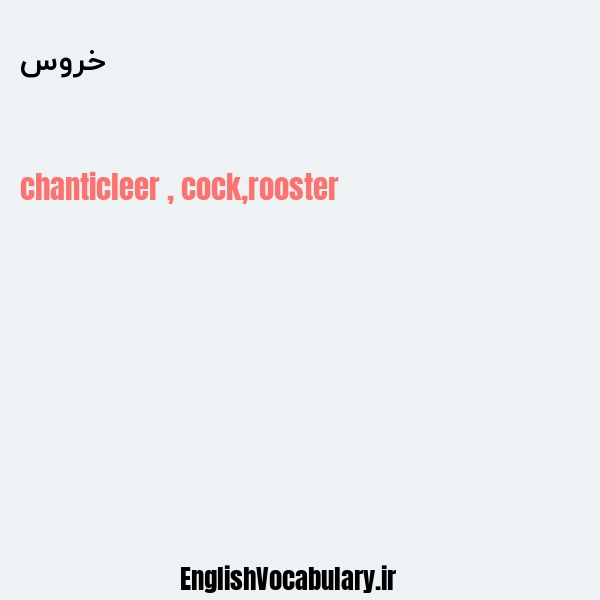 خروس به انگلیسی