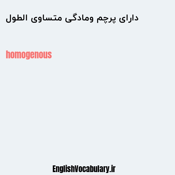 دارای پرچم ومادگی متساوی الطول به انگلیسی