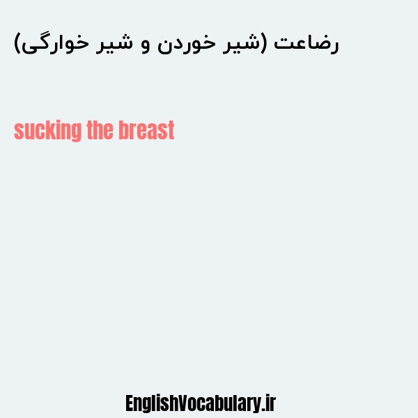 رضاعت (شیر خوردن و شیر خوارگی) به انگلیسی