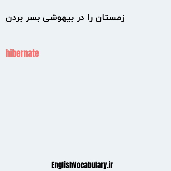 زمستان را در بیهوشی بسر بردن به انگلیسی