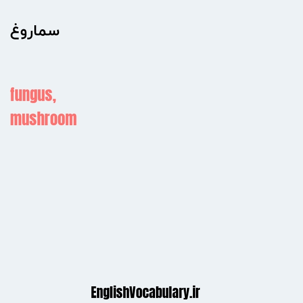 سماروغ به انگلیسی