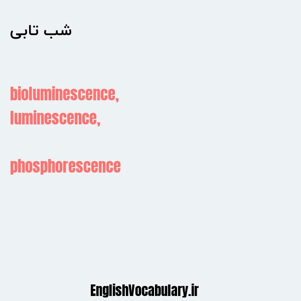 شب تابی به انگلیسی