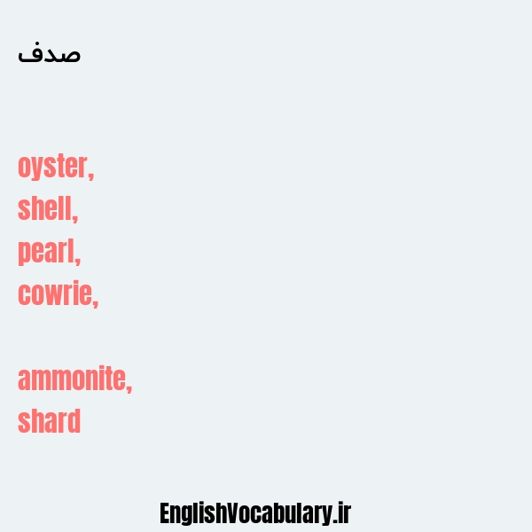 صدف به انگلیسی