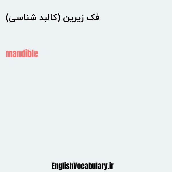 فک زیرین (کالبد شناسی) به انگلیسی