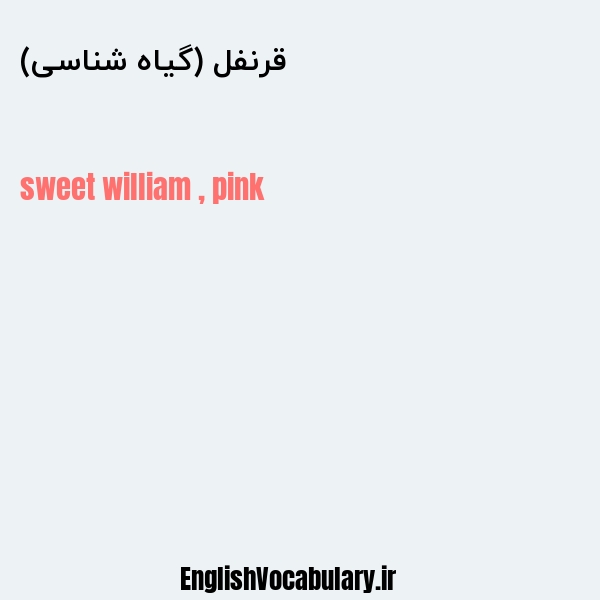 قرنفل (گیاه شناسی) به انگلیسی