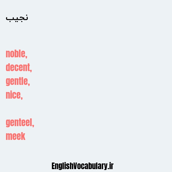نجیب به انگلیسی