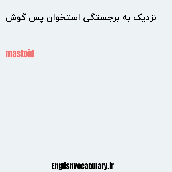 نزدیک به برجستگی استخوان پس گوش به انگلیسی