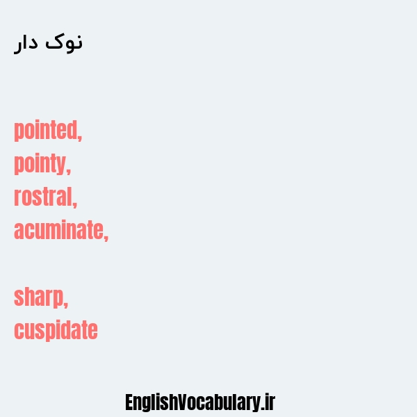 نوک دار به انگلیسی