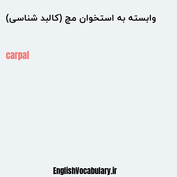 وابسته به استخوان مچ (کالبد شناسی) به انگلیسی