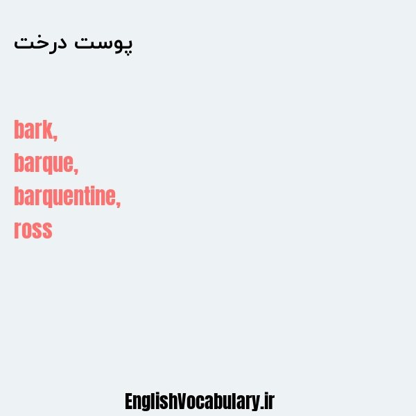 پوست درخت به انگلیسی