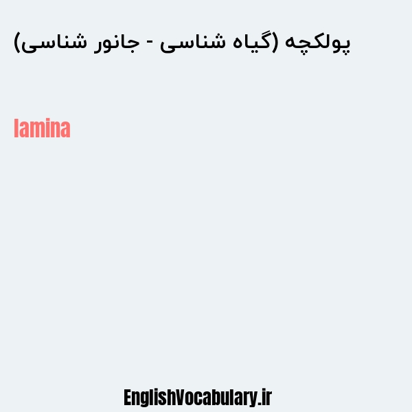 پولکچه (گیاه شناسی - جانور شناسی) به انگلیسی