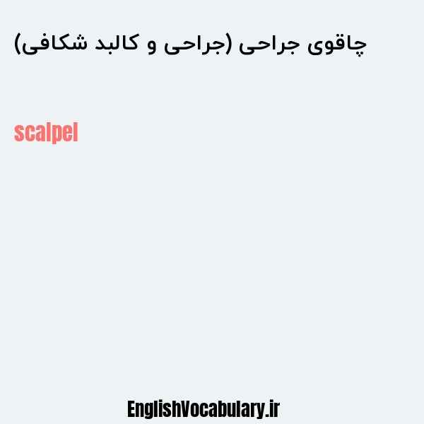 چاقوی جراحی (جراحی و کالبد شکافی) به انگلیسی