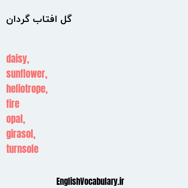 گل افتاب گردان به انگلیسی