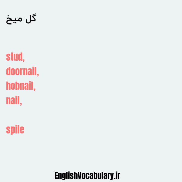 گل میخ به انگلیسی