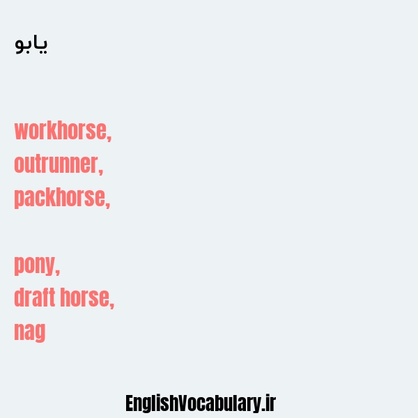 یابو به انگلیسی