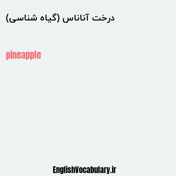 معنی و ترجمه "درخت آناناس (گیاه شناسی)" به انگلیسی