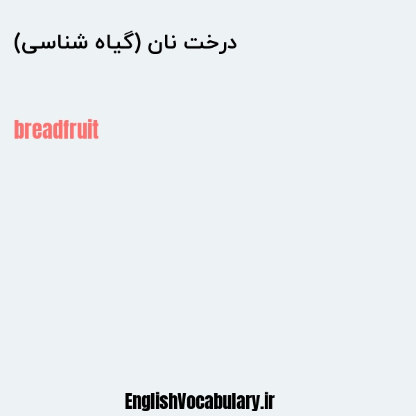 معنی و ترجمه "درخت نان (گیاه شناسی)" به انگلیسی