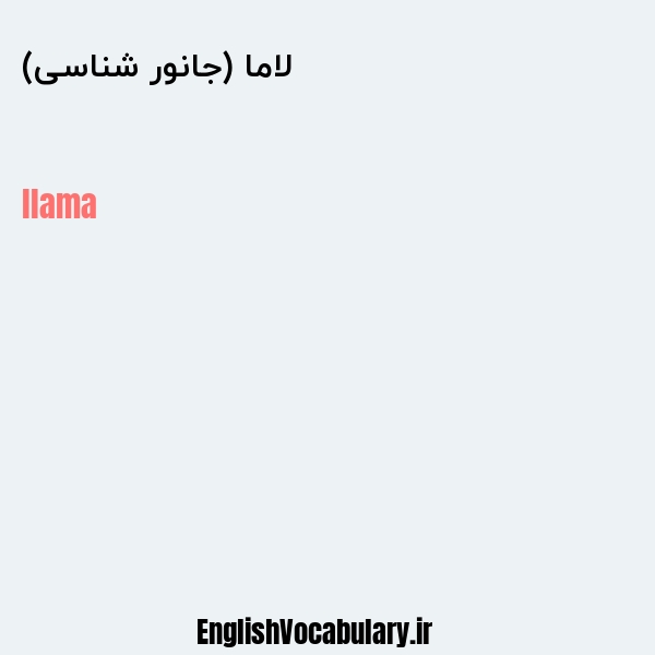 معنی و ترجمه "لاما (جانور شناسی)" به انگلیسی