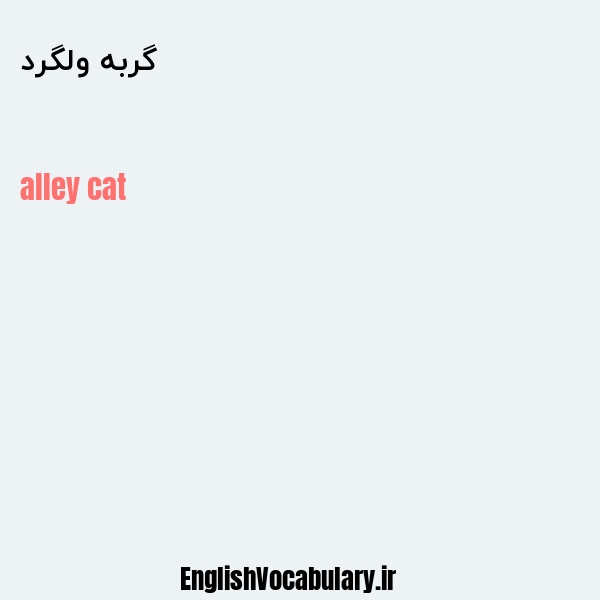 معنی و ترجمه "گربه ولگرد" به انگلیسی